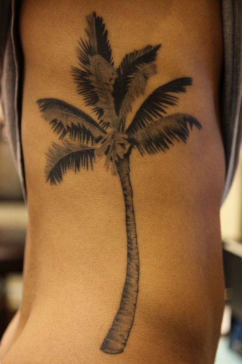 Grey Ink Palm Tree Tattoo On Right Side